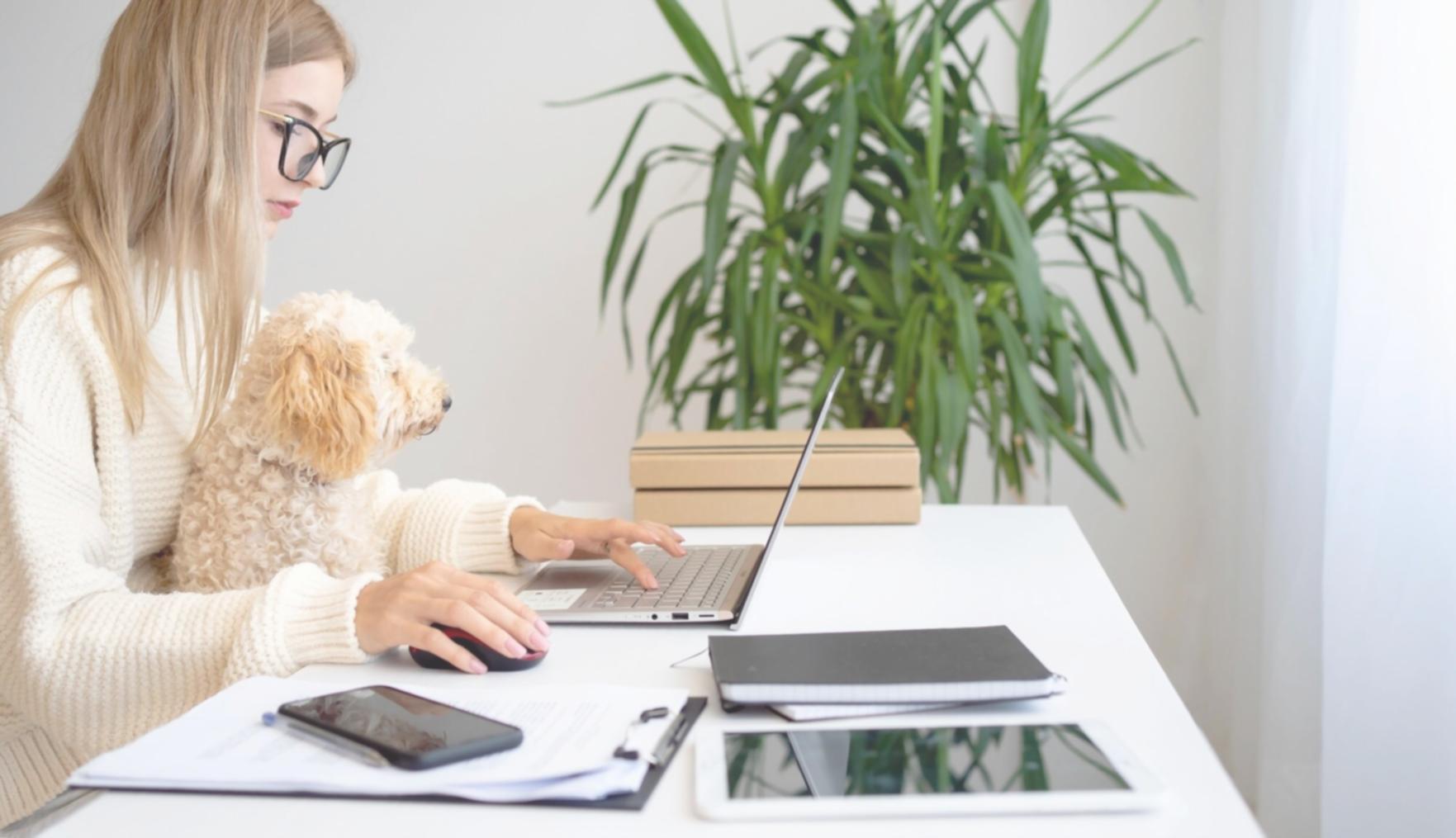 Expense management dashboard showing real-time analytics and automated workflow processing